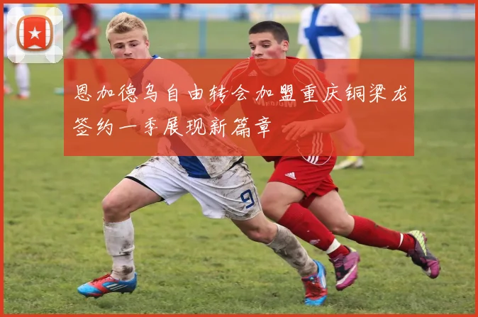 恩加德乌自由转会加盟重庆铜梁龙签约一季展现新篇章